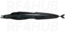 Black scabbardfish