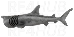 Basking shark