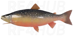 Dryagin Char
