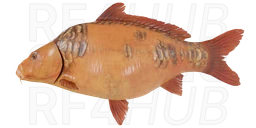 Starvas Red Carp - Mirror