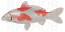 Kohaku