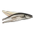 Huge fillet - Saithe