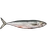 Dead mackerel