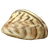 Zebra mussel meat