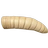 Maggot