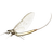 Mayfly