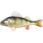 Perch