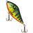 Ripper Jerk S12-008