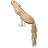 Squirrel 30