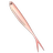 Real Minnow 4-006
