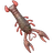 Perfect Craw 4.5 005