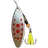 Dragonfly Stream 2-004
