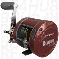 Billionaire CNV